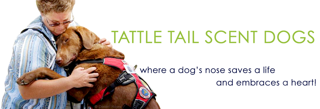 Tattle Tail Scent Dogs
